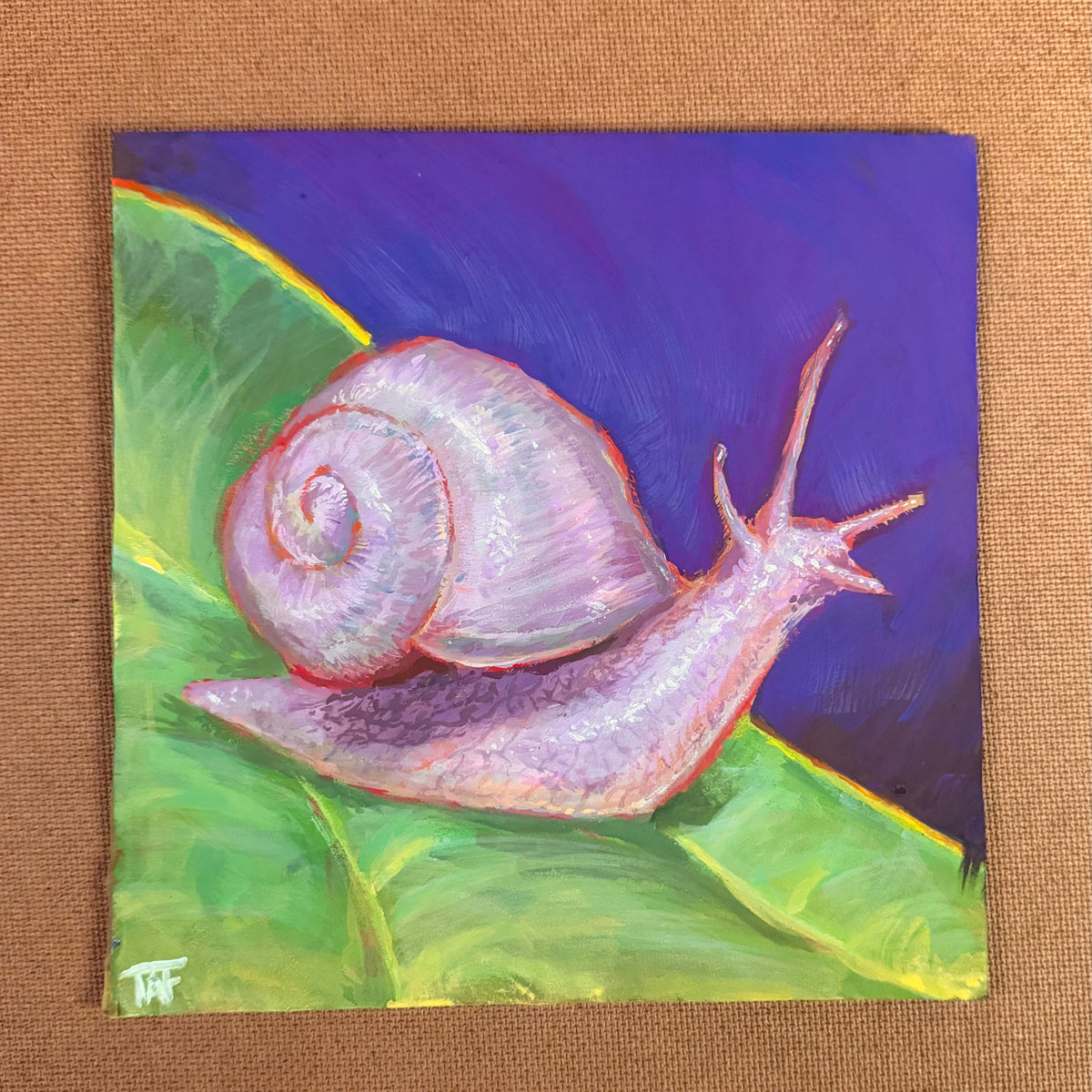 Albino Snail, 8x8 Inch Original