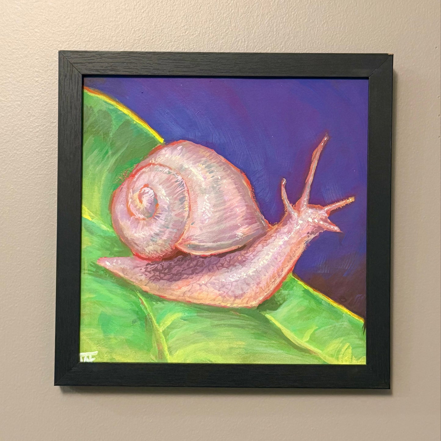 Albino Snail, 8x8 Inch Original