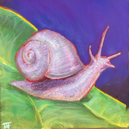 Albino Snail, 8x8 Inch Original